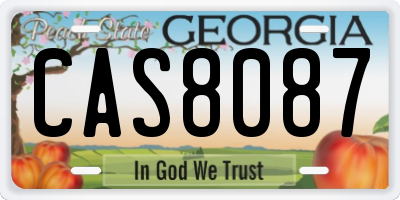 GA license plate CAS8087