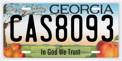 GA license plate CAS8093