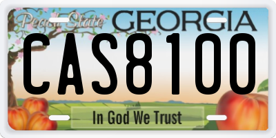 GA license plate CAS8100