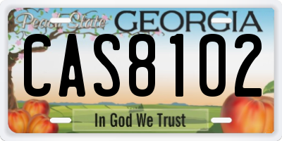 GA license plate CAS8102