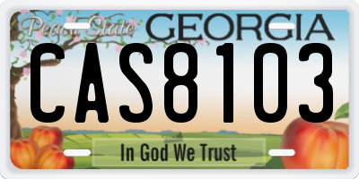 GA license plate CAS8103