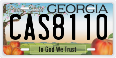 GA license plate CAS8110