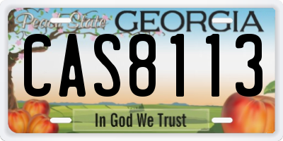 GA license plate CAS8113