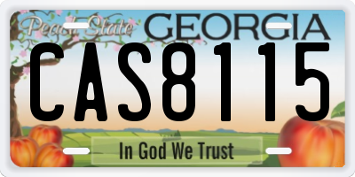 GA license plate CAS8115