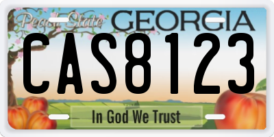 GA license plate CAS8123