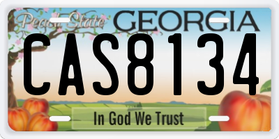 GA license plate CAS8134