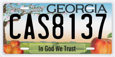 GA license plate CAS8137