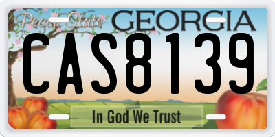 GA license plate CAS8139