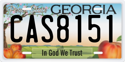 GA license plate CAS8151