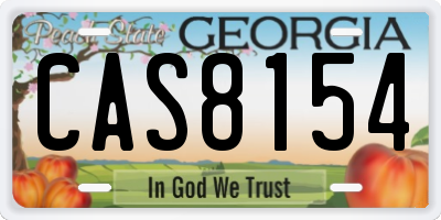 GA license plate CAS8154