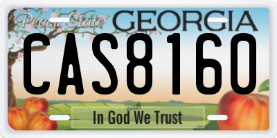 GA license plate CAS8160