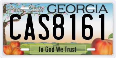 GA license plate CAS8161