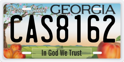 GA license plate CAS8162