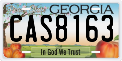 GA license plate CAS8163