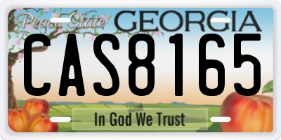 GA license plate CAS8165