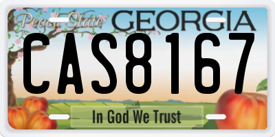GA license plate CAS8167