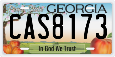 GA license plate CAS8173