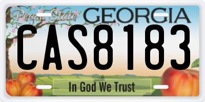 GA license plate CAS8183