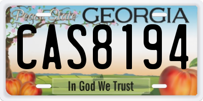 GA license plate CAS8194