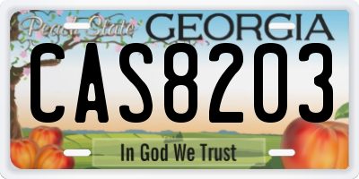 GA license plate CAS8203