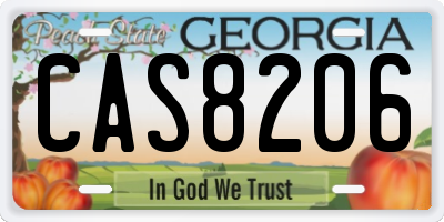 GA license plate CAS8206