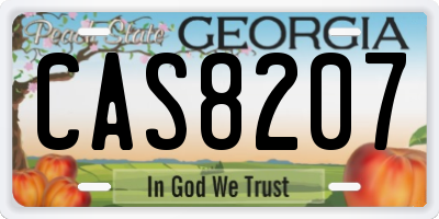 GA license plate CAS8207