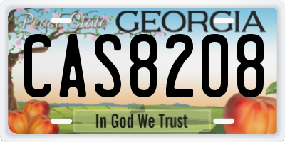 GA license plate CAS8208