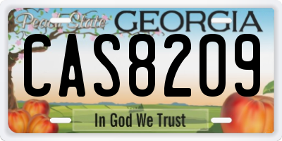 GA license plate CAS8209