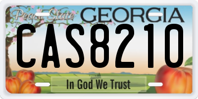 GA license plate CAS8210