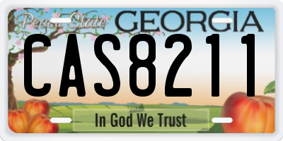 GA license plate CAS8211