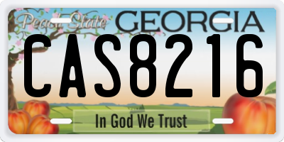 GA license plate CAS8216