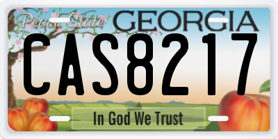 GA license plate CAS8217