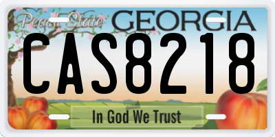 GA license plate CAS8218