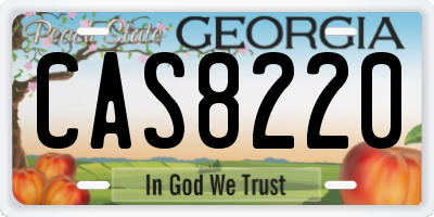 GA license plate CAS8220