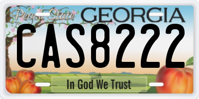 GA license plate CAS8222