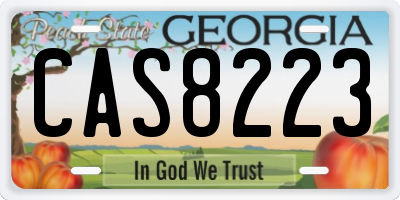 GA license plate CAS8223