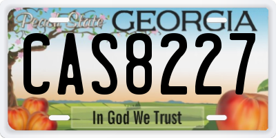GA license plate CAS8227