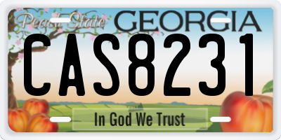GA license plate CAS8231