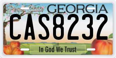 GA license plate CAS8232