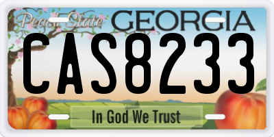 GA license plate CAS8233