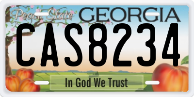 GA license plate CAS8234