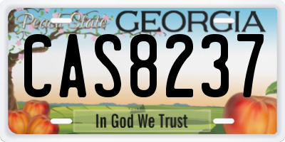 GA license plate CAS8237