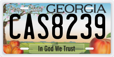 GA license plate CAS8239