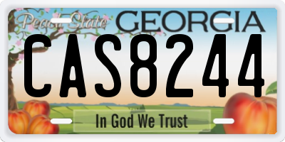 GA license plate CAS8244