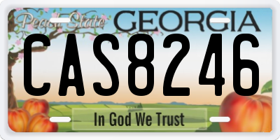 GA license plate CAS8246