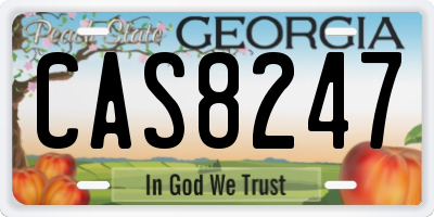 GA license plate CAS8247