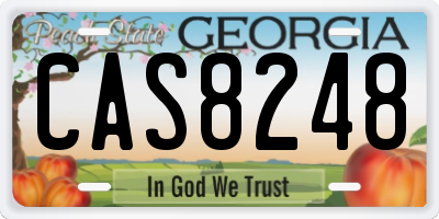 GA license plate CAS8248