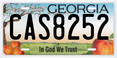 GA license plate CAS8252