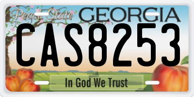 GA license plate CAS8253