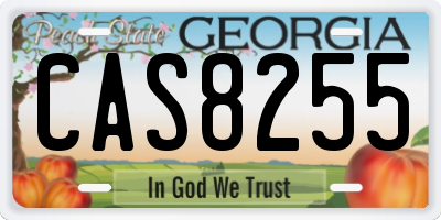 GA license plate CAS8255